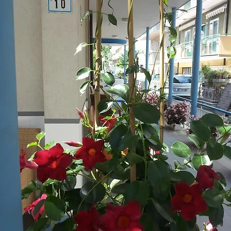 Hotel Dei Platani Bellaria-Igea Marina